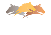 Parelli Savvy Club