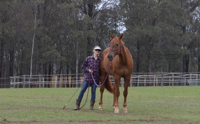 Two Weeks at The Parelli Horsemanship Centre Australia  By Sharon Perkins, NSW