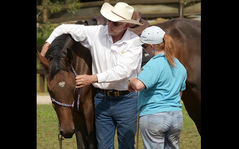 Introductory Horsemanship Clinic(Level 1), 28-29 May, 2022
