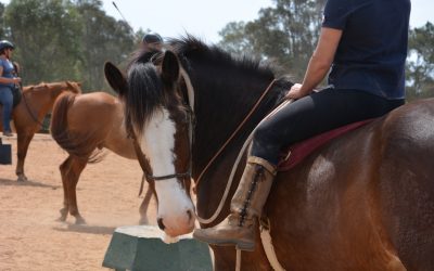 Where does bareback riding fit in?