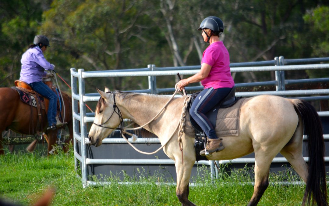 Control & Confidence Clinic on the ground and in the saddle  25,26 & 27 February 2023