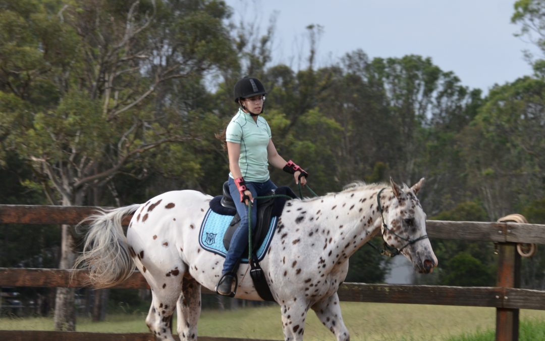 Control & Confidence in the Saddle Clinic, 2,3 & 4 April 2022