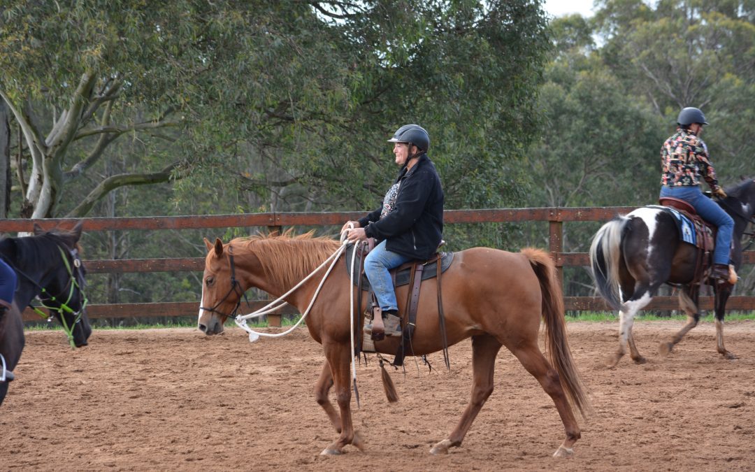 Control & Confidence in the Saddle Clinic, 23, 24 & 25 July 2022