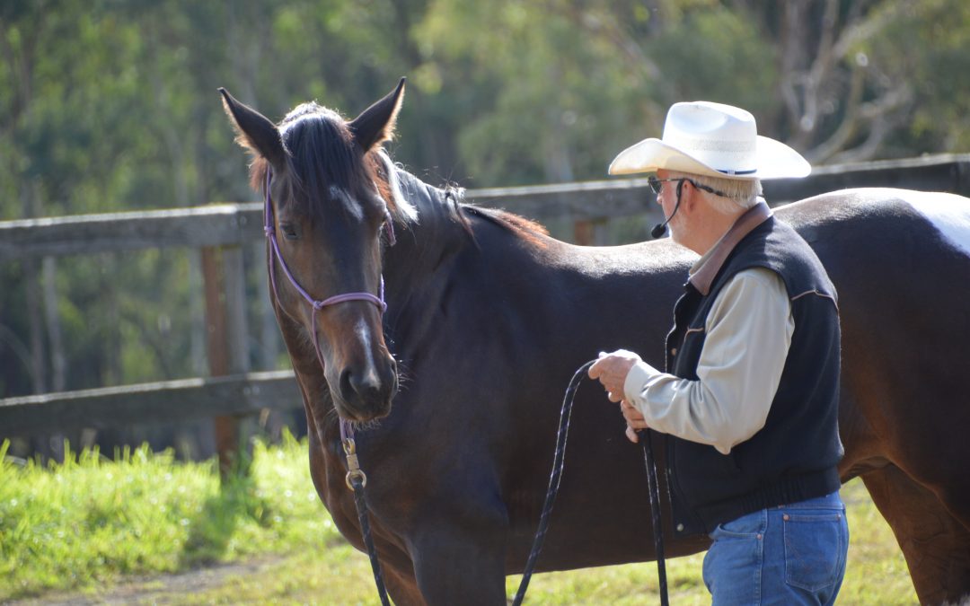Control & Confidence in the Saddle Clinic, 11, 12, 13 June 2022