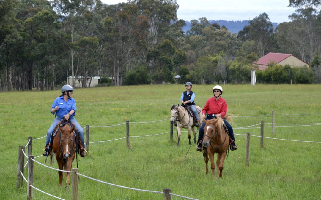 Trail Riding & Confidence Course 25-29 May 2023
