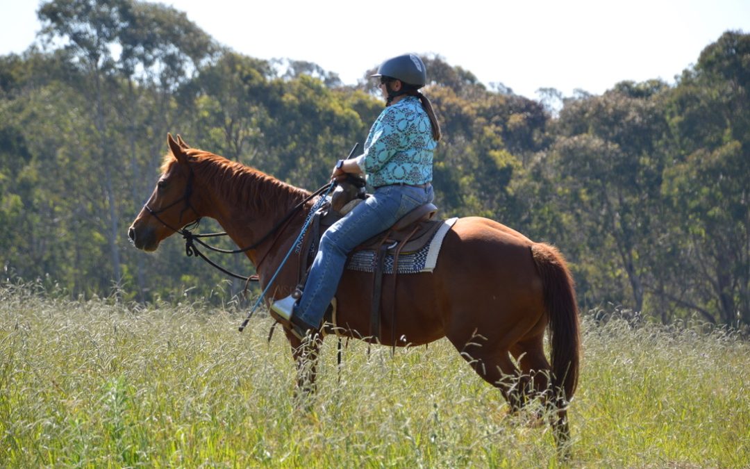 Horse training – The purpose of Freestyle Riding, or riding on a casual rein.