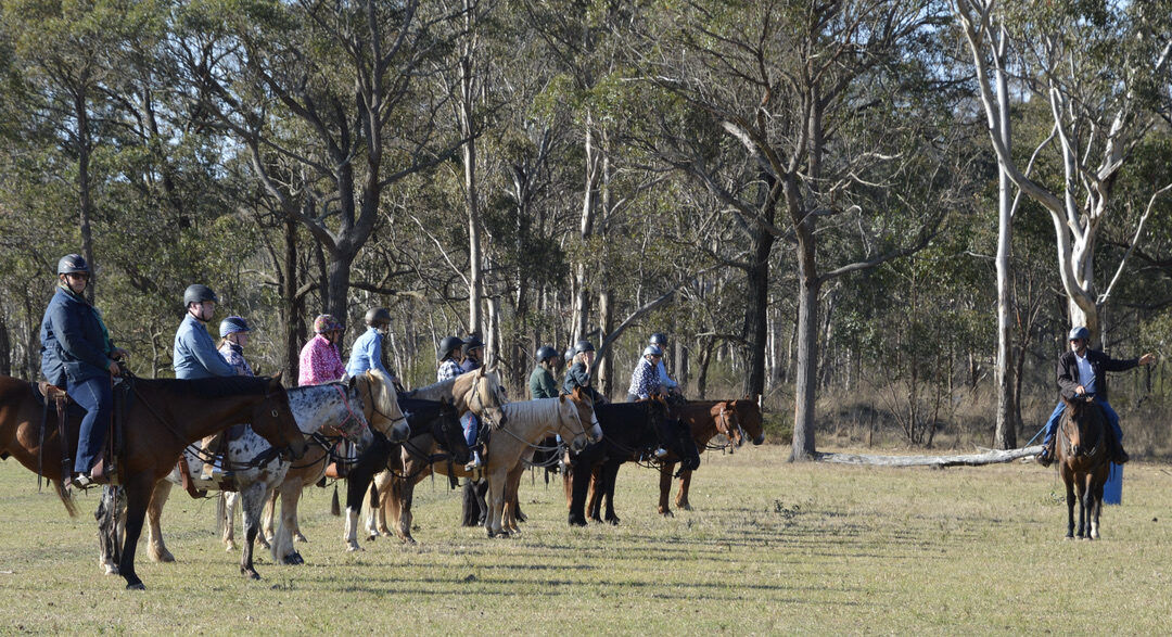 April – The Rider Blueprint Horsemanship Clinic