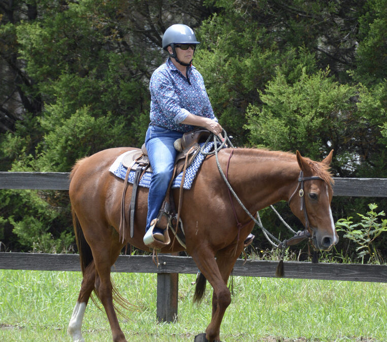 March – The Rider Blueprint Horsemanship Clinic