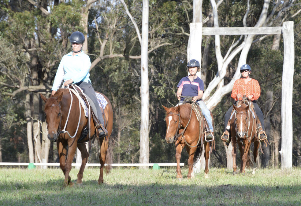 November – The Rider Horsemanship BluePrint Clinic