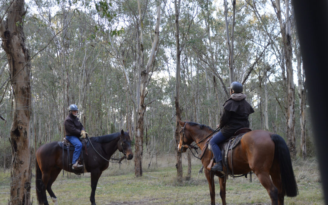 A horsemanship tip from Wallaby Woods…. with Neil Pye